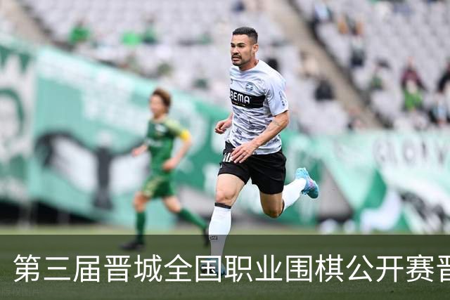 第三届晋城全国职业围棋公开赛晋城开幕